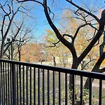 Luxury New 1B1B Private Balcony W Dryer Washer 525Pkwy